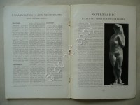 170601__p1190739