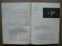 170728__p1210782