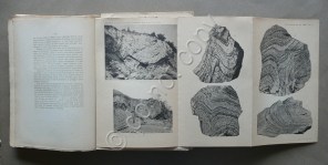 170819__p1220994