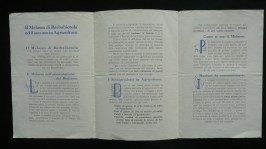 171013__p1250574