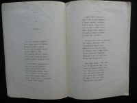 171020__p1250916