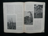 171116__p1270151