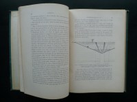 180102__p1280953