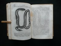 180209__p1300167
