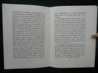 180223__p1310184