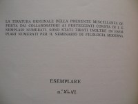 180301__p1310368