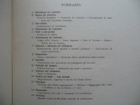 180301__p1310463