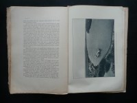 180301__p1310474