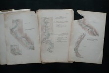 180301__p1310477