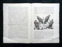 180323__p1320490