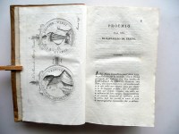 180706__p1360963