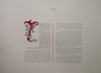 181017__img_2732