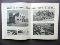 190118__p1450002
