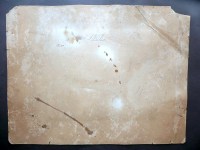 190207__p1450692