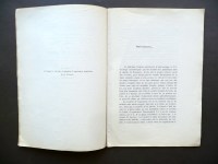 190207__p1450857