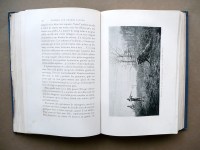 190215__p1460116