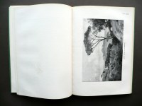 190215__p1460122