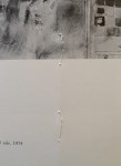 190221__img_5620