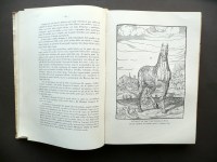190301__p1460736