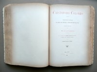 190301__p1460773
