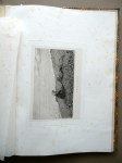190301__p1460971