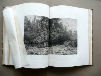190301__p1460974