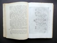 190321__p1470976