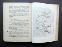 190321__p1470977