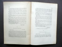 190405__p14805596