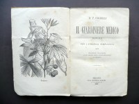 190419__p1490440