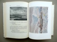 190419__p1490464
