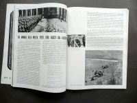 190426__p1490668