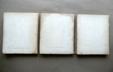 190607__p1510024