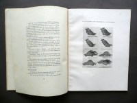 190607__p1510122