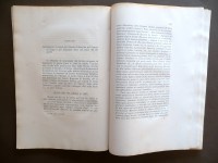 190817__p1530604