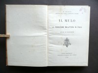 191004__p1540816