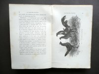 191011__p1550192