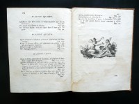 191129__p1560887