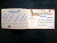 200117__P1570905