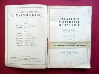 200207__p1580729
