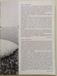 200219__img_3372