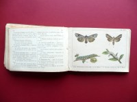 200229__p1590723