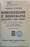 200406__img_3857