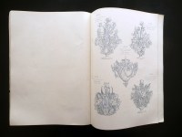 200430__p1620596