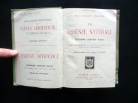 200430__p1620646