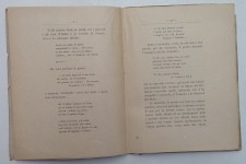 200506__img_4625