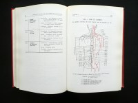 200515__p1630210