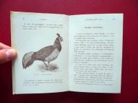 200807__p1660656