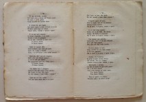 200913__img_7259