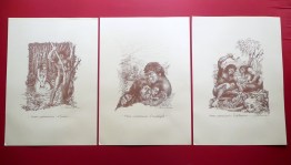 201120__p1700158